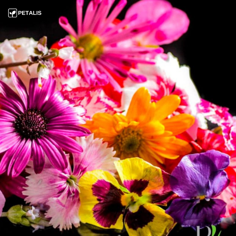 Mezcla de semillas de flores Petalis