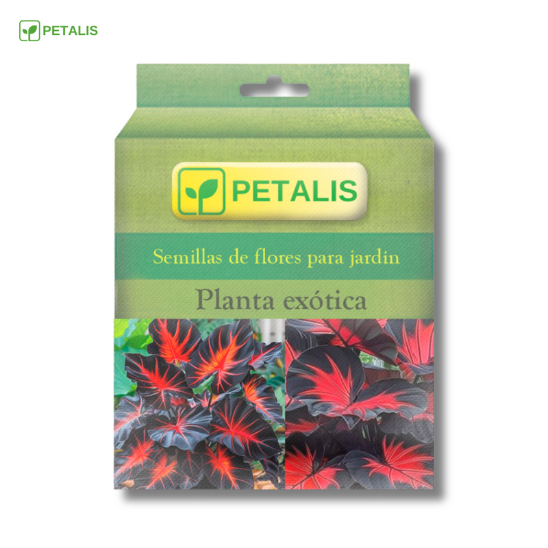 Semillas exóticas de flores Petalis